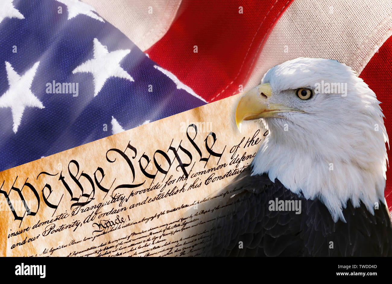 Nous le peuple américain avec l'aigle chauve et drapeau. Banque D'Images