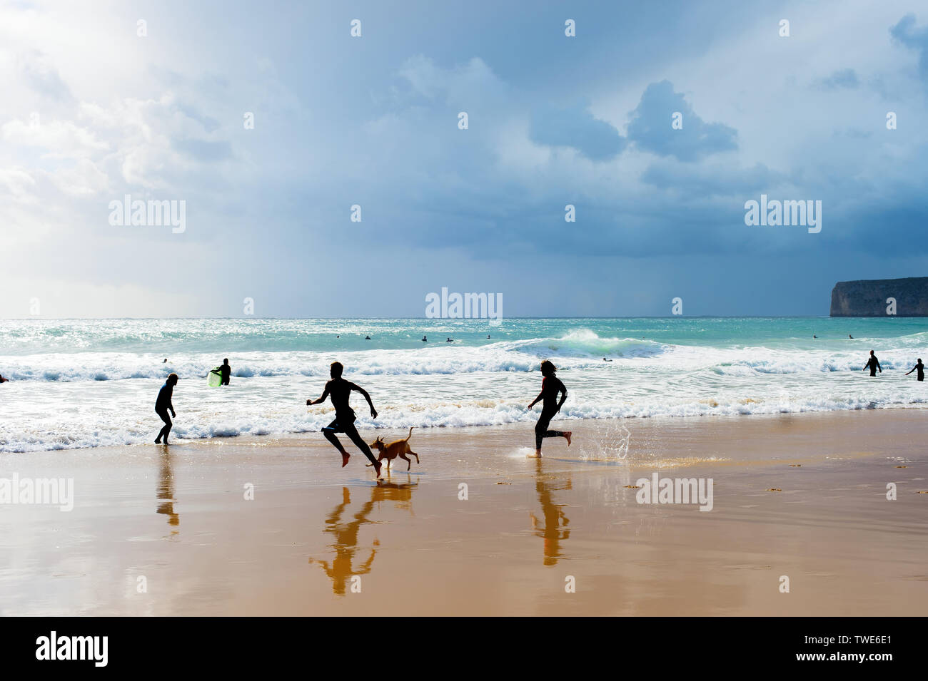 Silhouette de personnes jouant avec un chien sur la plage. Algarve, Portugal Banque D'Images