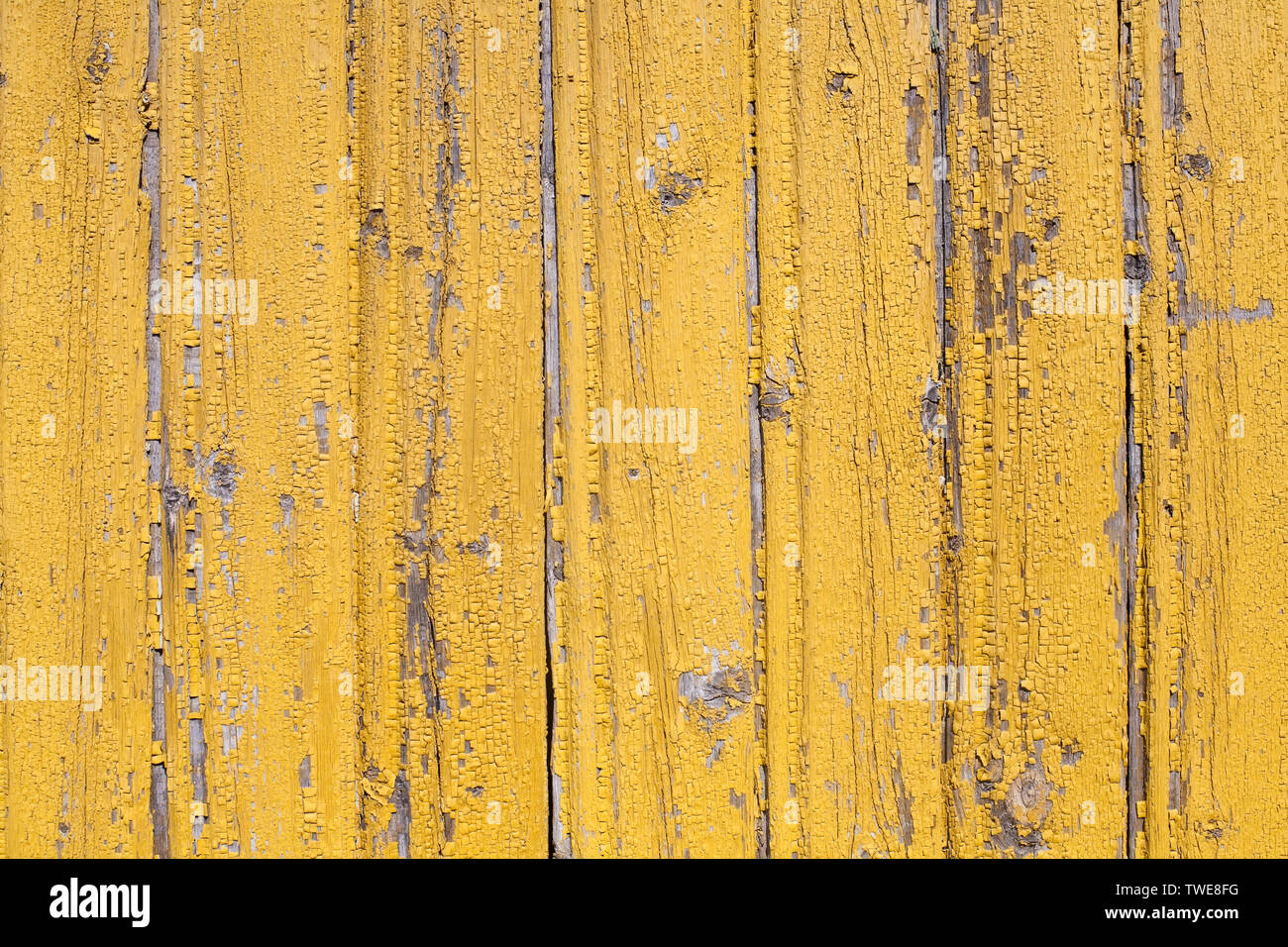 Ancienne rustique en bois peint jaune en flocons de texture modèle mur de planches Banque D'Images