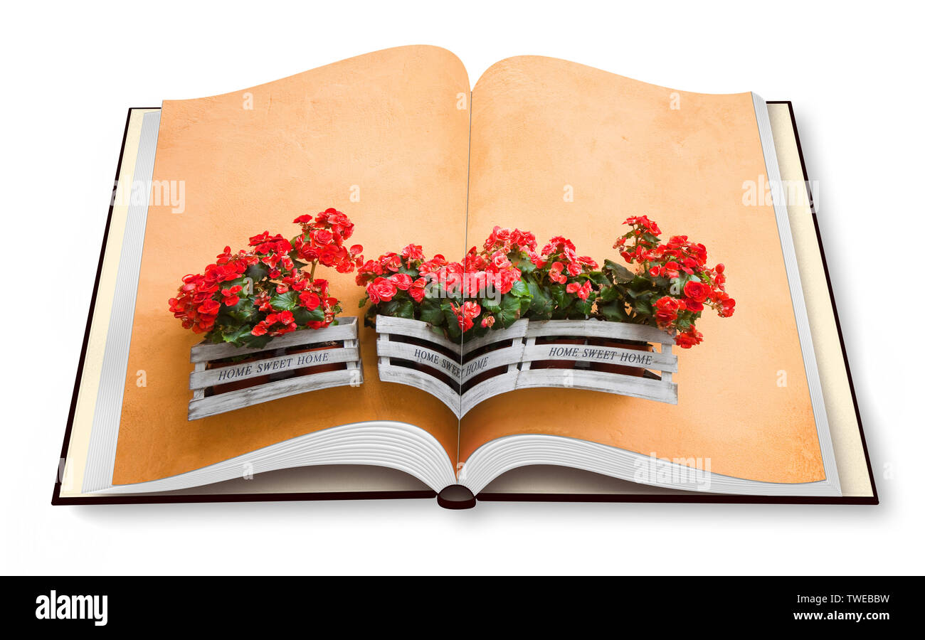 Boîte en bois de fleurs contre un mur de plâtre - le rendu 3D photo album concept image - je suis le propriétaire de copyright des images utilisées dans ce 3D render Banque D'Images Boîte en bois de fleurs contre un mur de plâtre - le rendu 3D photo album concept image - je suis le propriétaire de copyright des images utilisées dans ce 3D render Banque D'Images