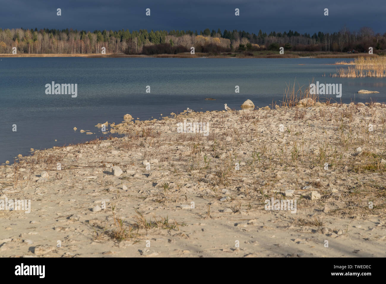 Carrière de Kurlevsky avec oiseau dans le village de Donzo la Russie dans la journée Banque D'Images