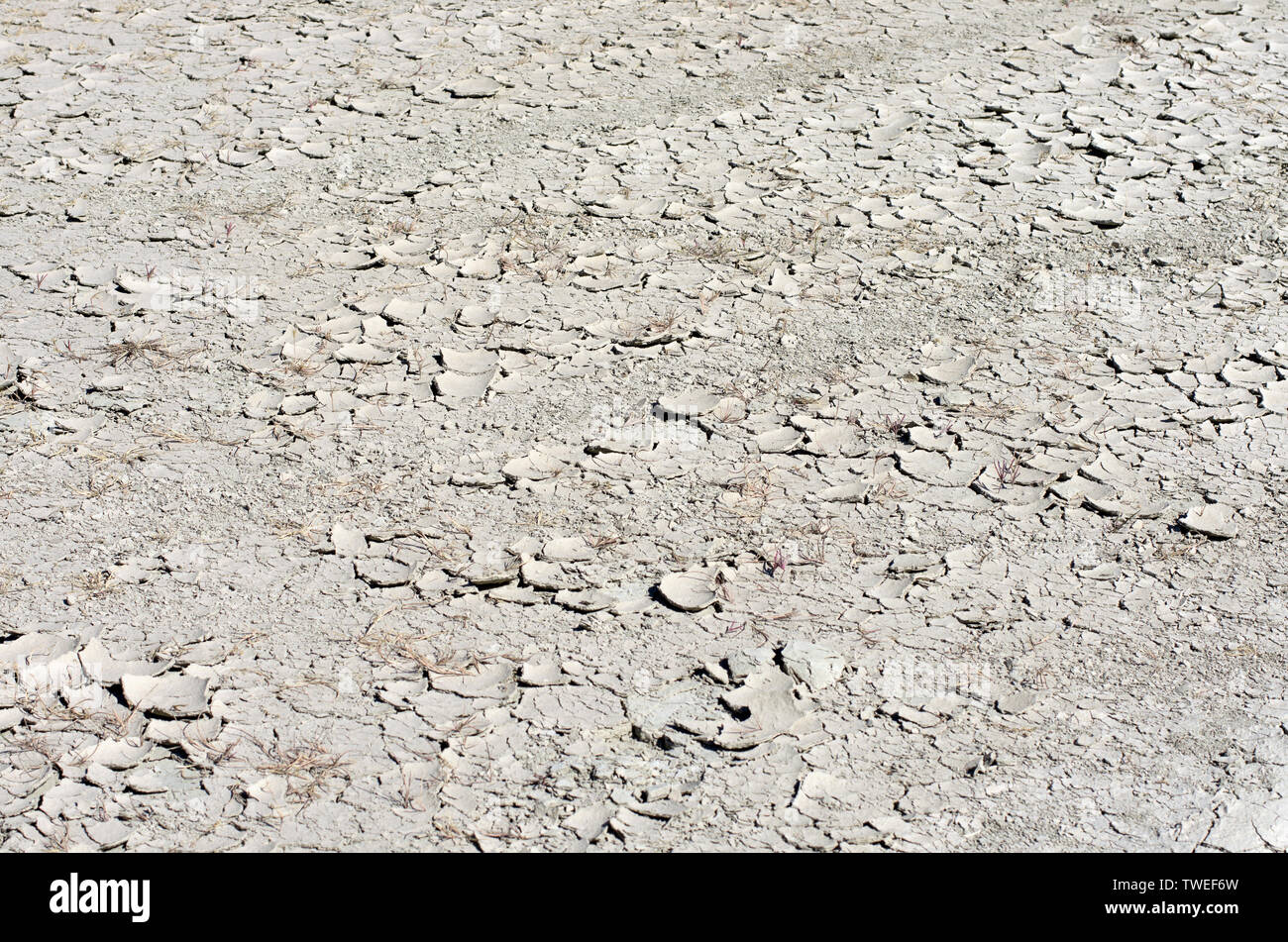 Dans des sols blanchis la période de sécheresse avec l'exfoliation de la surface et de fissures Banque D'Images