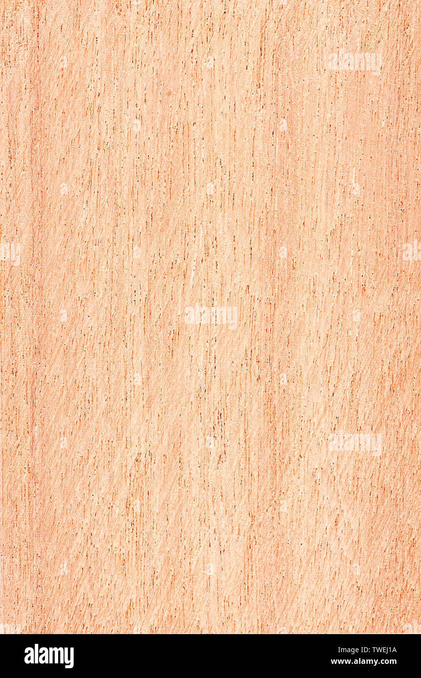 Brown texture bois scratch. Abstract background texture bois Banque D'Images