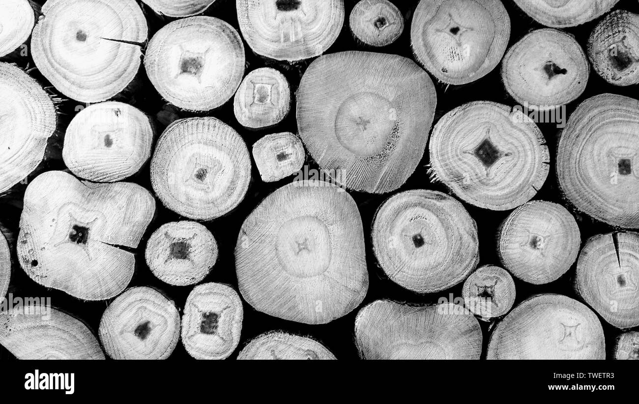 Image de fond pour les ressources graphiques dans des tons bruns Banque D'Images