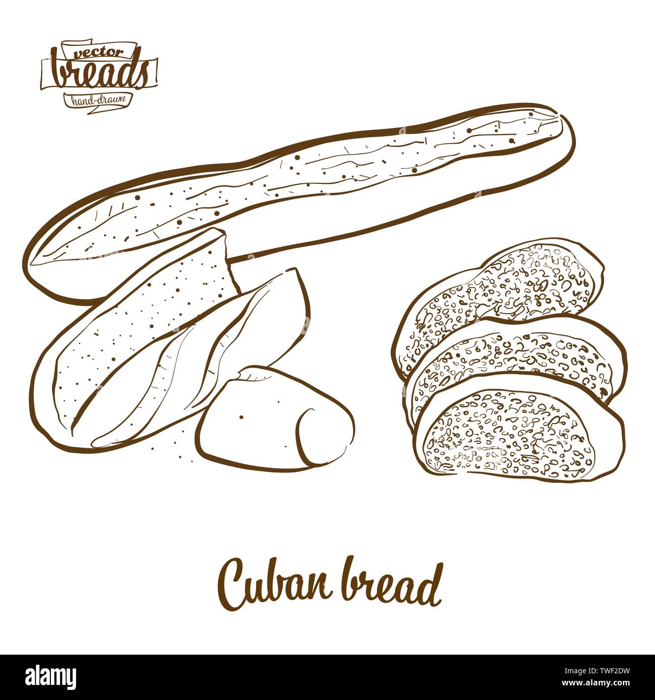 Pain pain cubain dessin vectoriel. Croquis de l'alimentation de la levure pain, habituellement connu aux États-Unis. Série d'illustration de boulangerie. Illustration de Vecteur