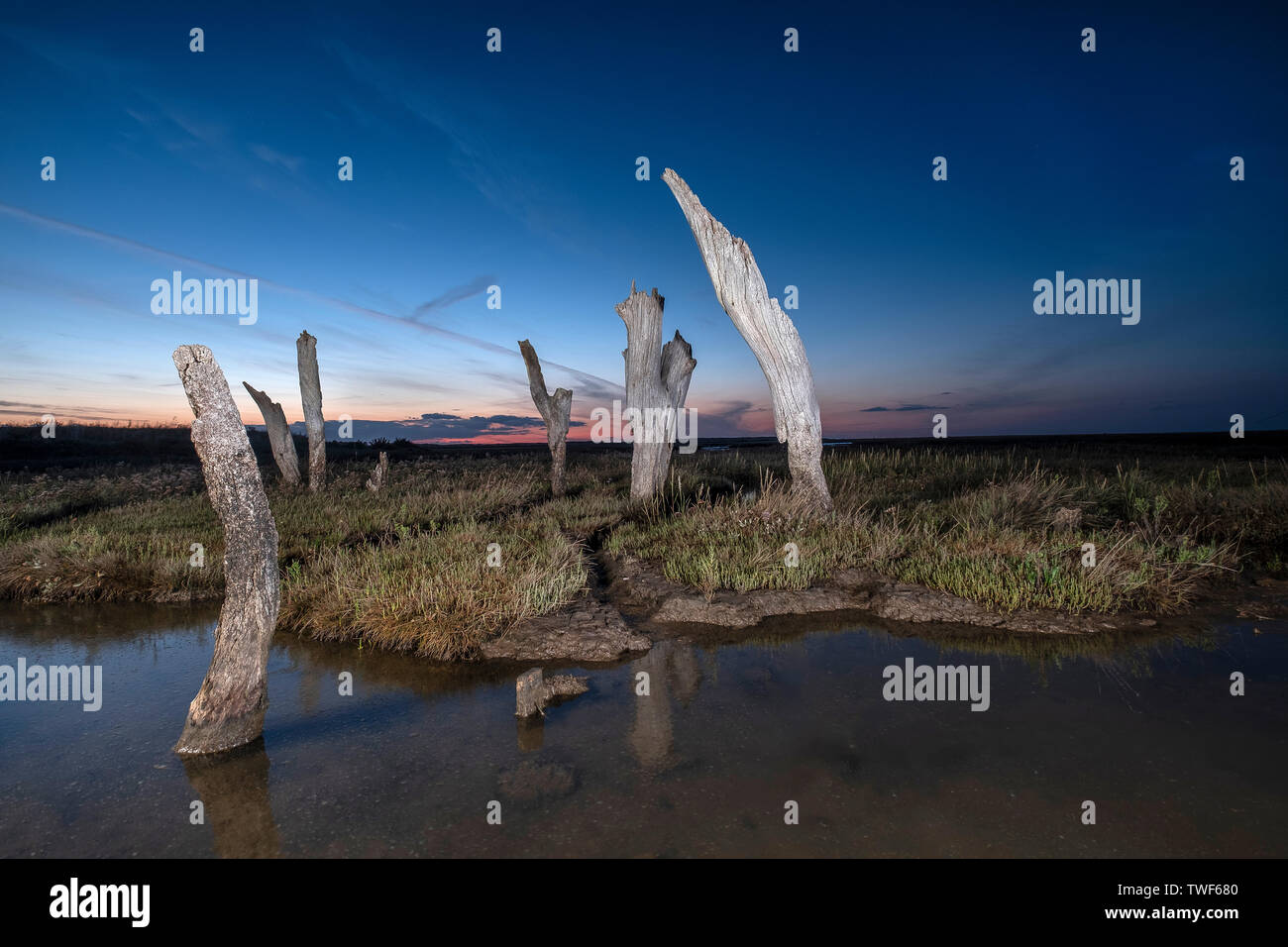 Thornham vieux port sticks éclairés avec une lampe au coucher du soleil. Banque D'Images