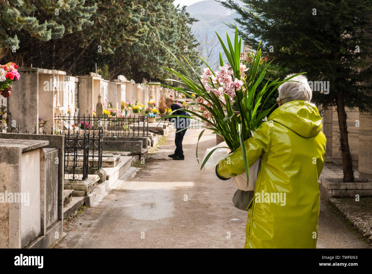 Femme en imperméable jaune walking in cemetery holding large vase de fleurs à Avezzano, dans la région Abruzzes, en Italie. Banque D'Images