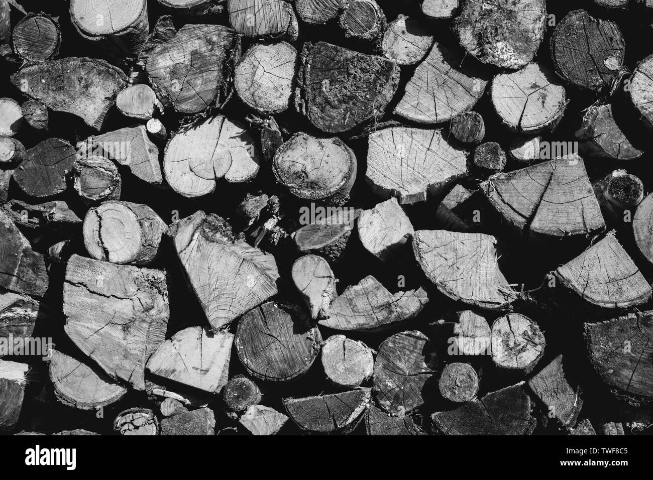 Pile de bois de sciage empilées Banque D'Images