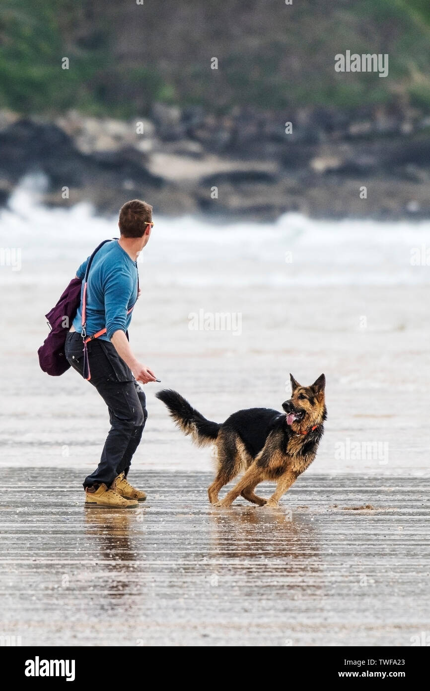 Le propriétaire d'un chien jetant une pierre pour son animal berger allemand sur la plage de Fistral à Newquay en Cornouailles. Banque D'Images