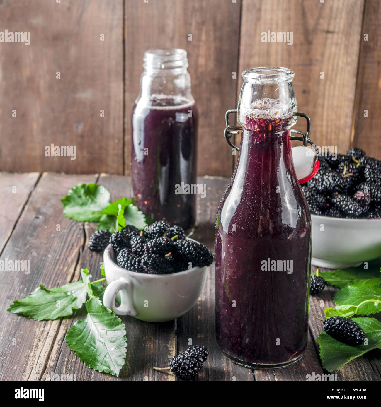 Arbuste de mûrier, jus ou liqueur en bouteilles de verre, avec des mûres, fond en bois rustique copy space Banque D'Images