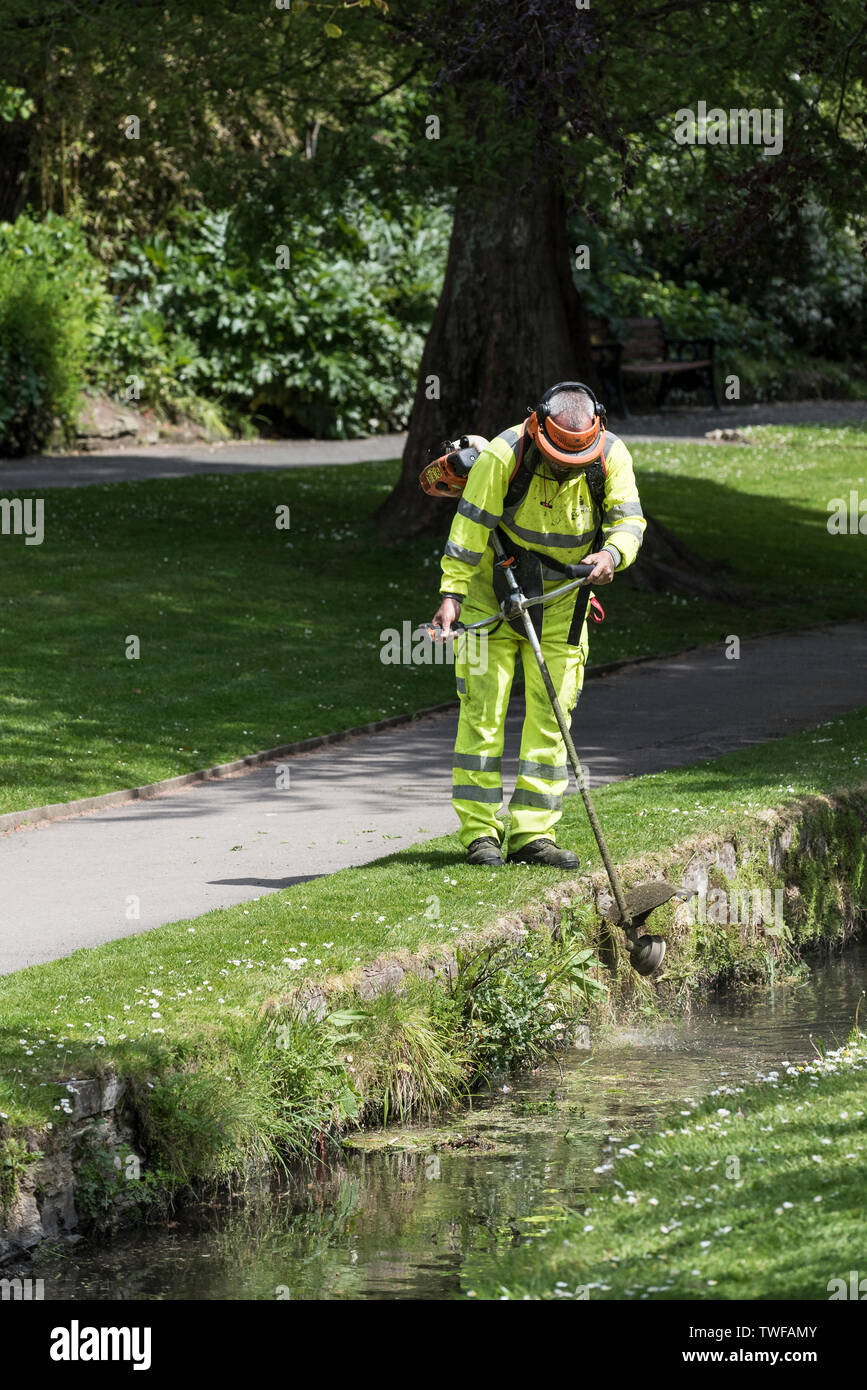 Un travailleur Cormac strimming gazon et les mauvaises herbes autour d'un ruisseau dans un parc paysager à Newquay en Cornouailles. Banque D'Images