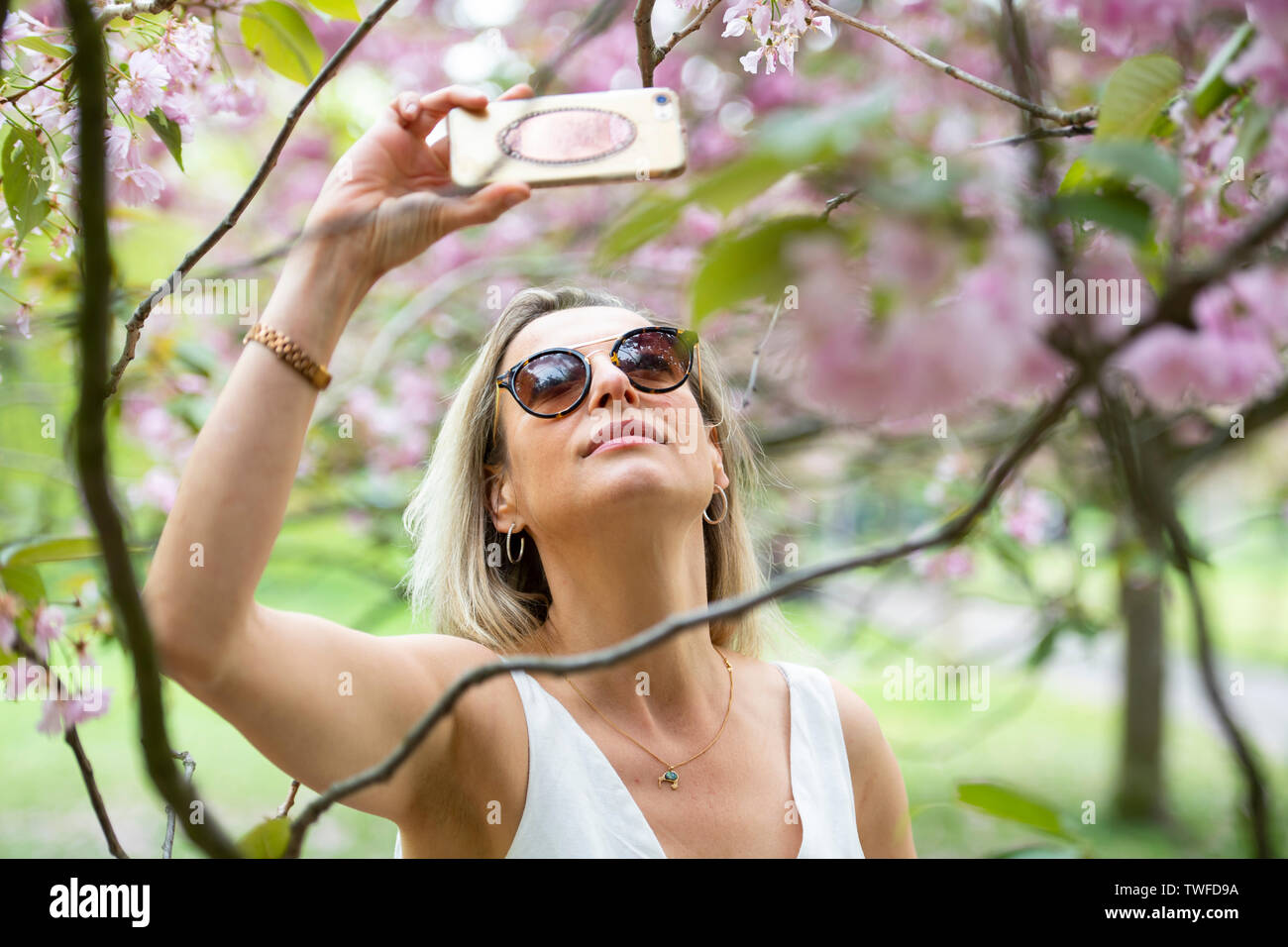 Jeune femme à la recherche à la fleur de cerisier dans un parc. Banque D'Images