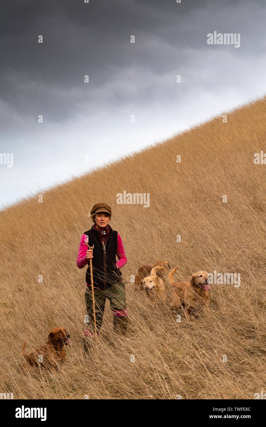 Le faisan et la perdrix en tir campagne d'automne avec des chiens. Banque D'Images