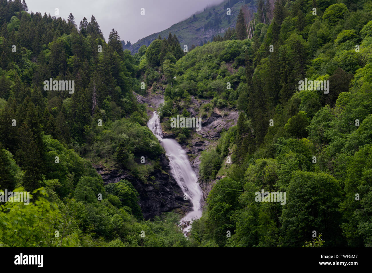 Vue paysage de la chute d'Logbachfall entouré de forêt d'été dans le Weisstannental dans les Alpes Suisses près de Sargans Banque D'Images