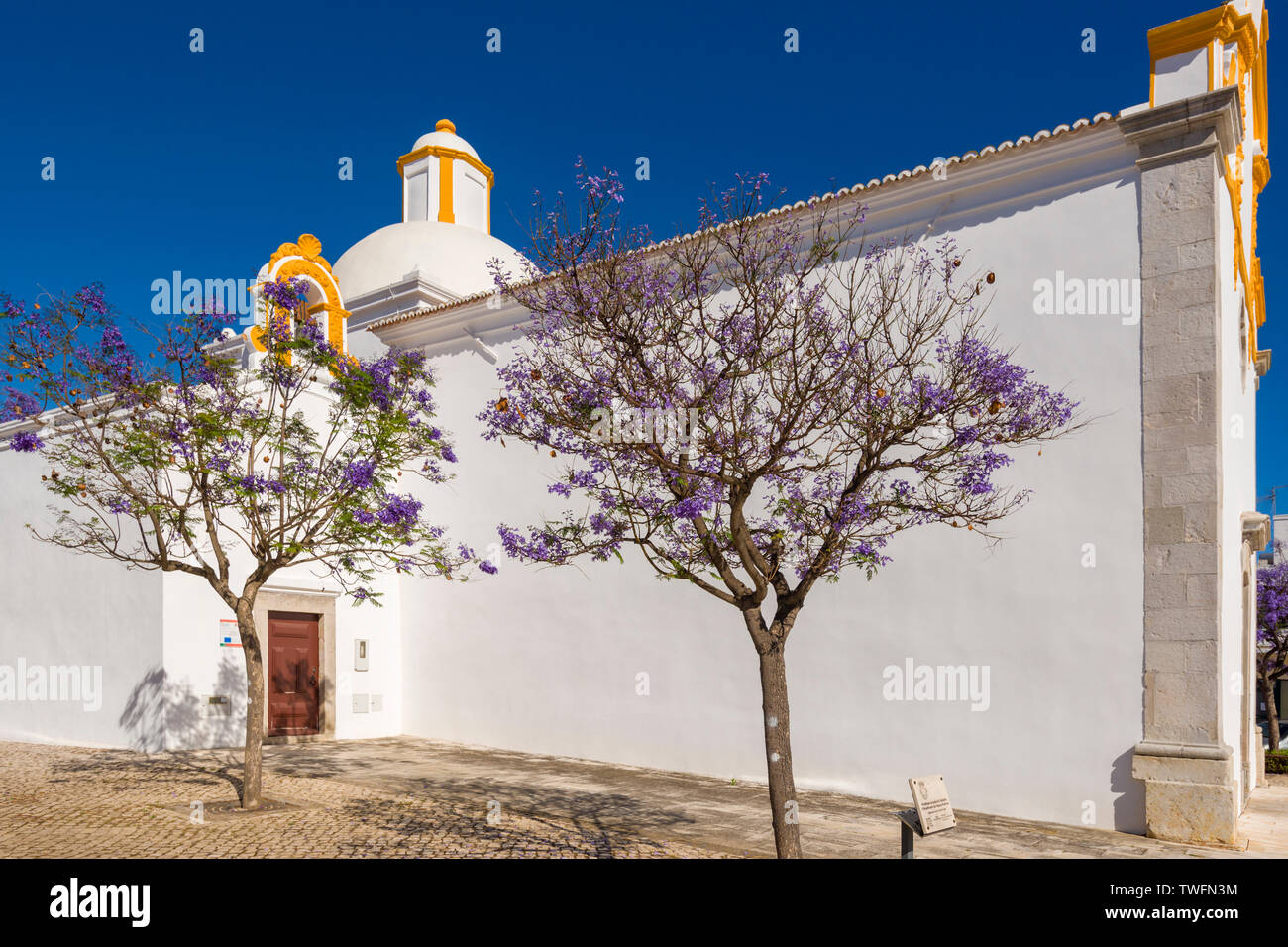 Ermida de São Sebastião et un Jacaranda mimosifolia à Tavira, Algarve, Portugal Banque D'Images