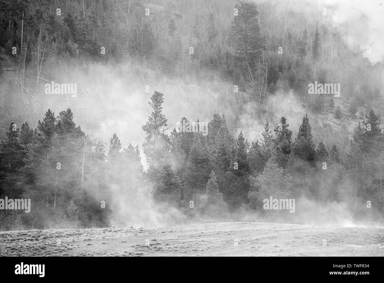 Lever du soleil à travers la brume à Tangled creek de Firehole lake drive, le parc national de Yellowstone Banque D'Images