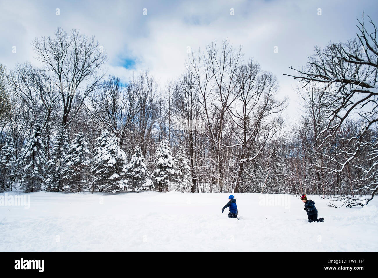 Deux garçons d'avoir une bataille de boules de neige, United States Banque D'Images