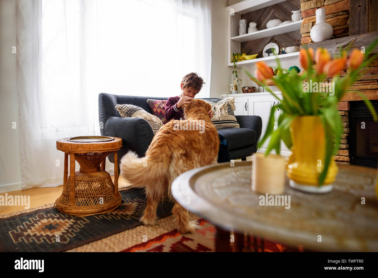 Garçon assis sur un canapé de caresser un chien golden retriever Banque D'Images