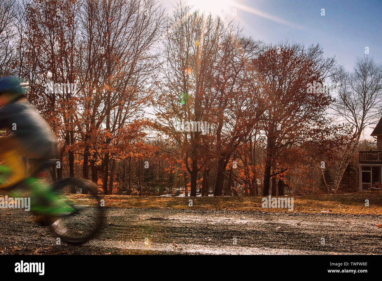 Garçon de rouler à vélo dans le parc, United States Banque D'Images