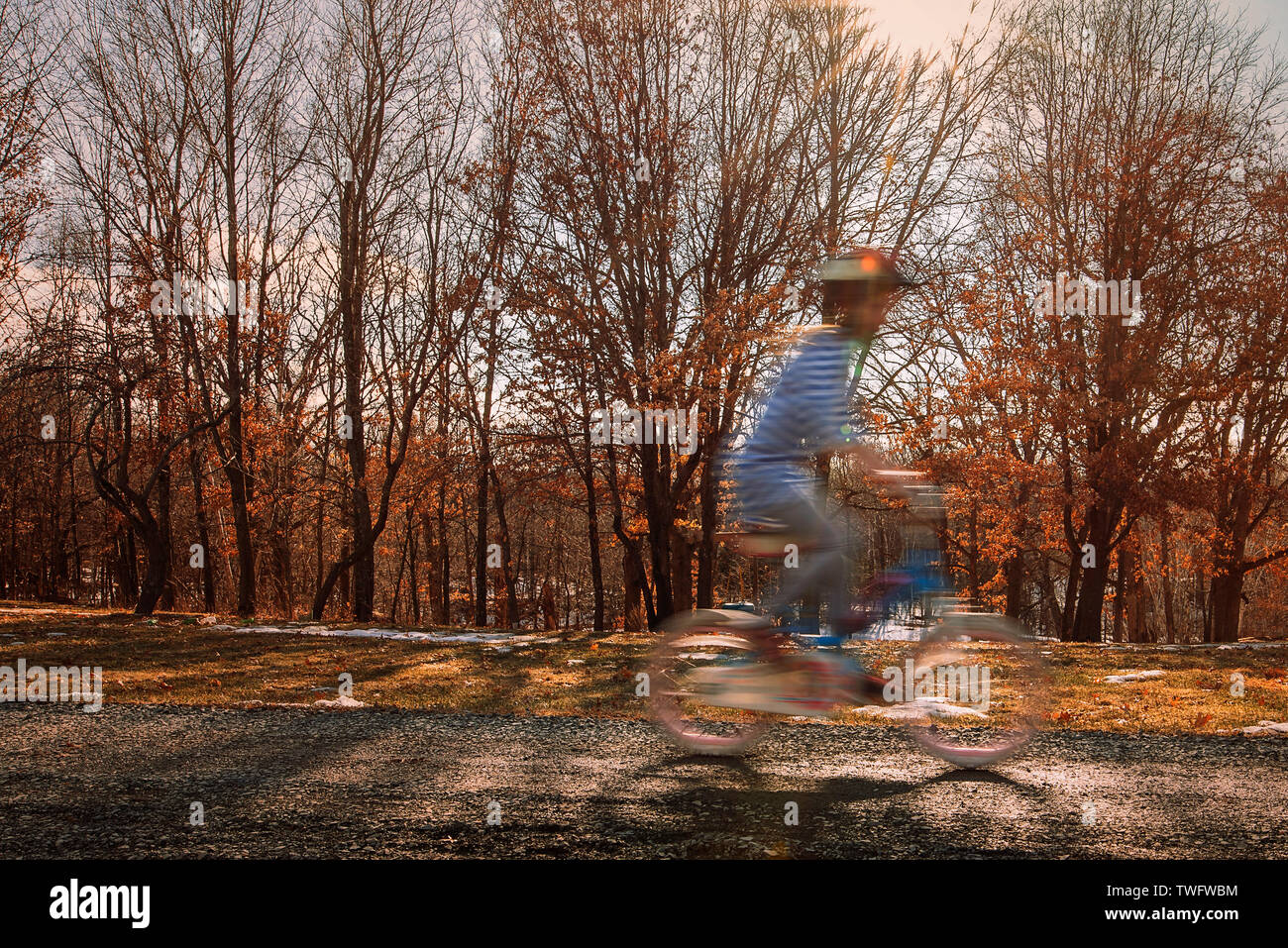 Fille de rouler à vélo dans le parc, United States Banque D'Images