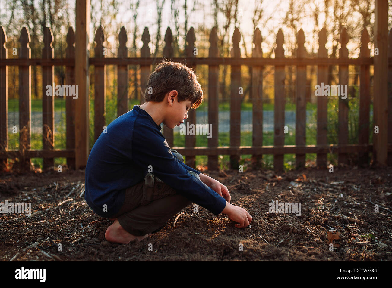 Garçon de planter des graines dans un jardin, United States Banque D'Images