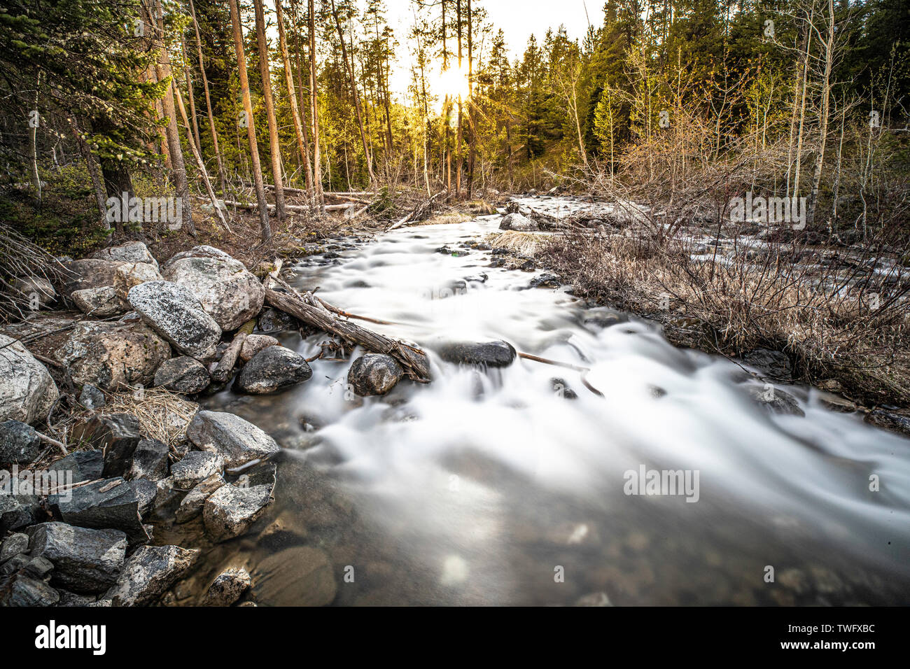 Ruisseau traverse une forêt et sur les rochers. Longue exposition. Lake Creek, Grand Teton National Park Banque D'Images