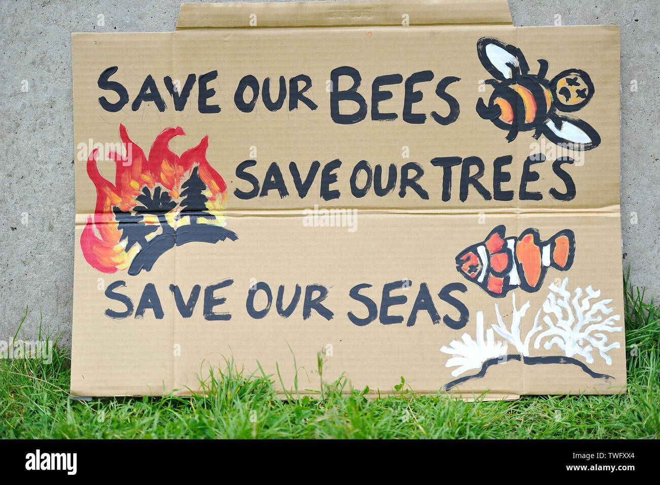 Edinburgh, Royaume-Uni. 20 Juin, 2019. Rébellion d'extinction de protestation devant le Parlement écossais. Crédit : Colin Fisher/Alamy Live News Banque D'Images