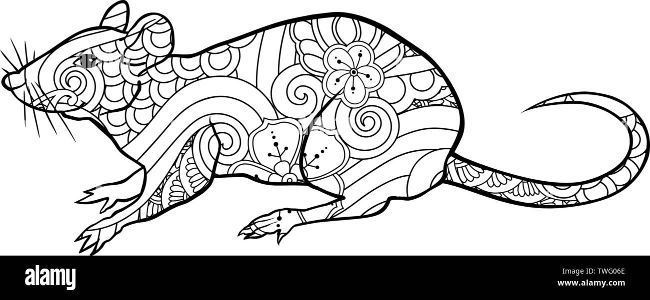 Coloriage avec doodle rat style zentangle en style inspiré. Livre de coloriage pour les enfants plus âgés et les adultes. Illustration de Vecteur