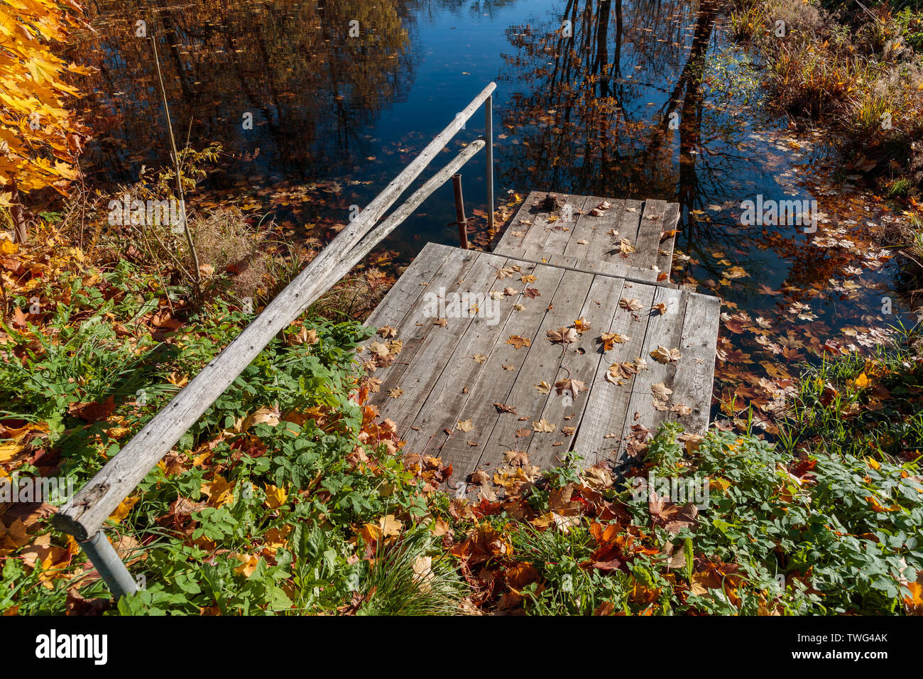 Escalier en bois menant à l'eau dans la saison d'automne Banque D'Images