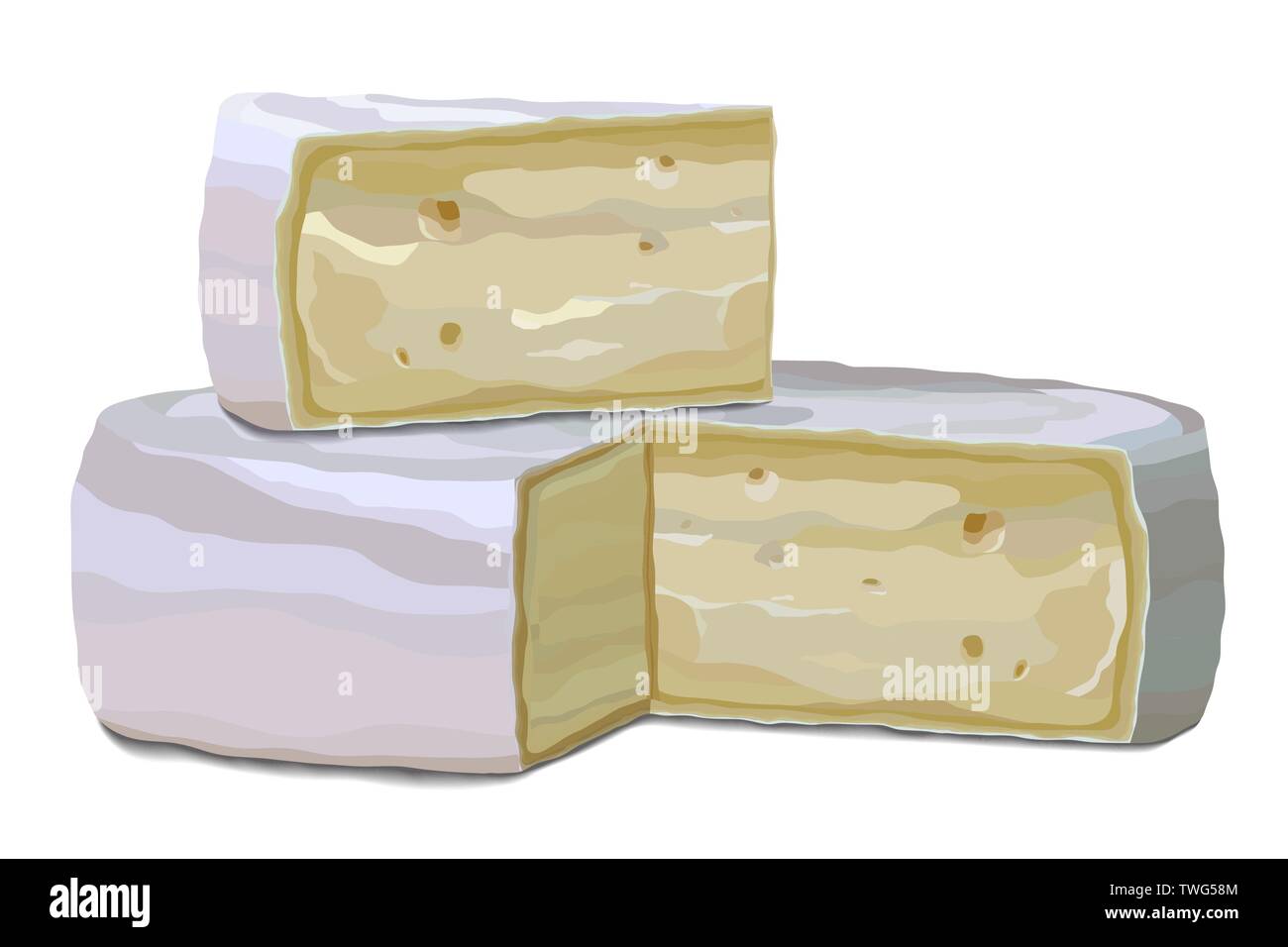 Camembert et slice isolé sur fond blanc Vue de côté Illustration de Vecteur