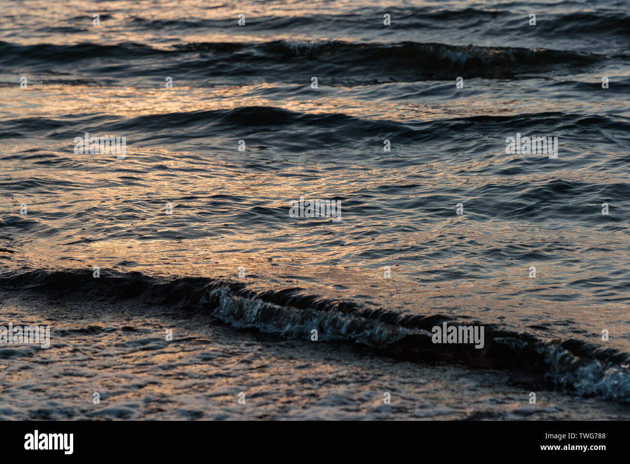 Belle mer vague marée dans la soirée Banque D'Images