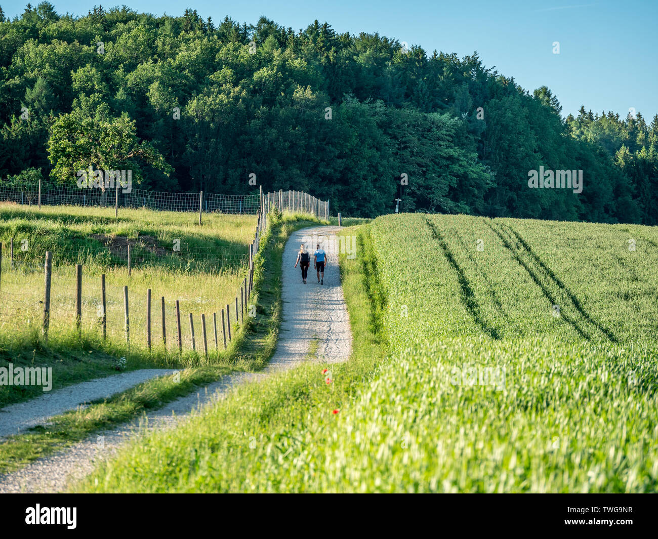 Image du couple en train de marcher à côté d'un champ à l'été Banque D'Images