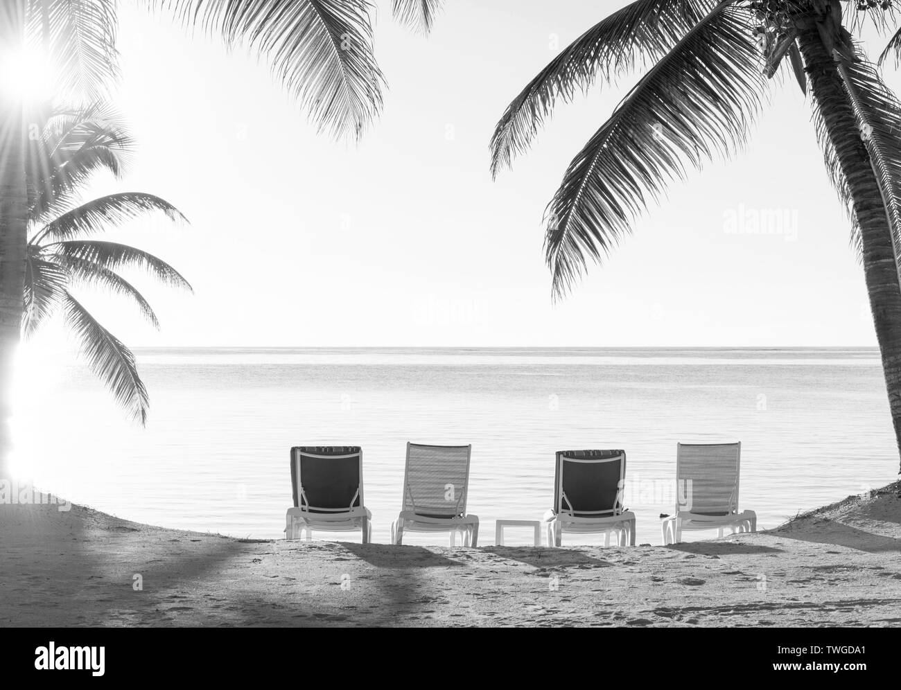 Vacances de plage transats dans le sable avec vue sur l'océan en noir et blanc Banque D'Images