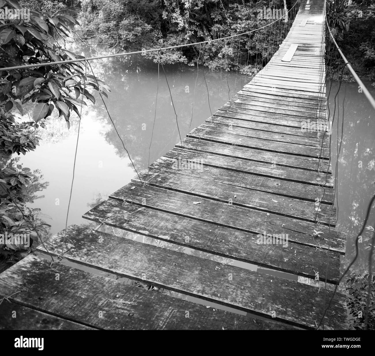 Pont suspendu sur la rivière dans la jungle du Parc national Rio Blanco à Tolède le Belize en noir et blanc Banque D'Images