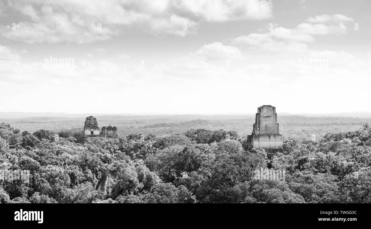 Tikal au Guatemala, une ancienne cité maya en ruines entouré par la jungle en noir et blanc Banque D'Images