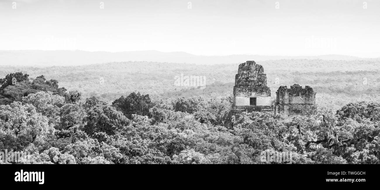 Les ruines de Tikal au Guatemala avec une jungle tropicale en noir et blanc Banque D'Images