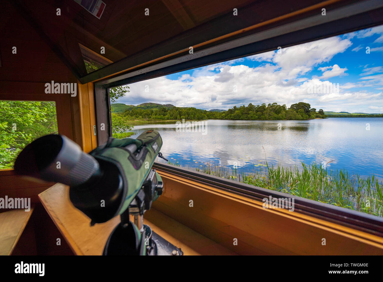 Osprey birdwatching cacher chez Scottish Wildlife Trust visitor center à Loch du Lowes, près de Dunkeld dans le Perthshire, Écosse, Royaume-Uni Banque D'Images