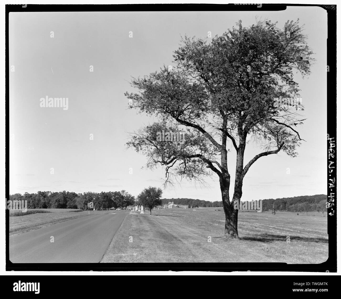 REYNOLDS, AVENUE ROAD. Remarque DIRECTEMENT ALIGNÉE ET LE PAYSAGE AGRICOLE À côtés. Voir ENN. - Gettysburg National Military Park, Gettysburg, routes d'Adams County, PA ; faire face, Emmor ; B Gettysburg Battlefield memorial Association ; Warren G, K ; Bureau of Public Roads ; Département de la guerre ; Lee, Robert E ; Hooker, Joseph combats Joe ; Howard, Oliver O ; James Longstreet, ; Hill, Ambrose Powell ; Ewell, Richard S ; Meade, George Gordon ; Reynolds, John ; Début, Jubal, faucilles, Daniel ; Grant, Ulysses S ; Saunders, William ; Bachelder, John B ; Rogers, Randolph ; Gross, George J ; Cavada, UN F ; les testaments, Dav Banque D'Images
