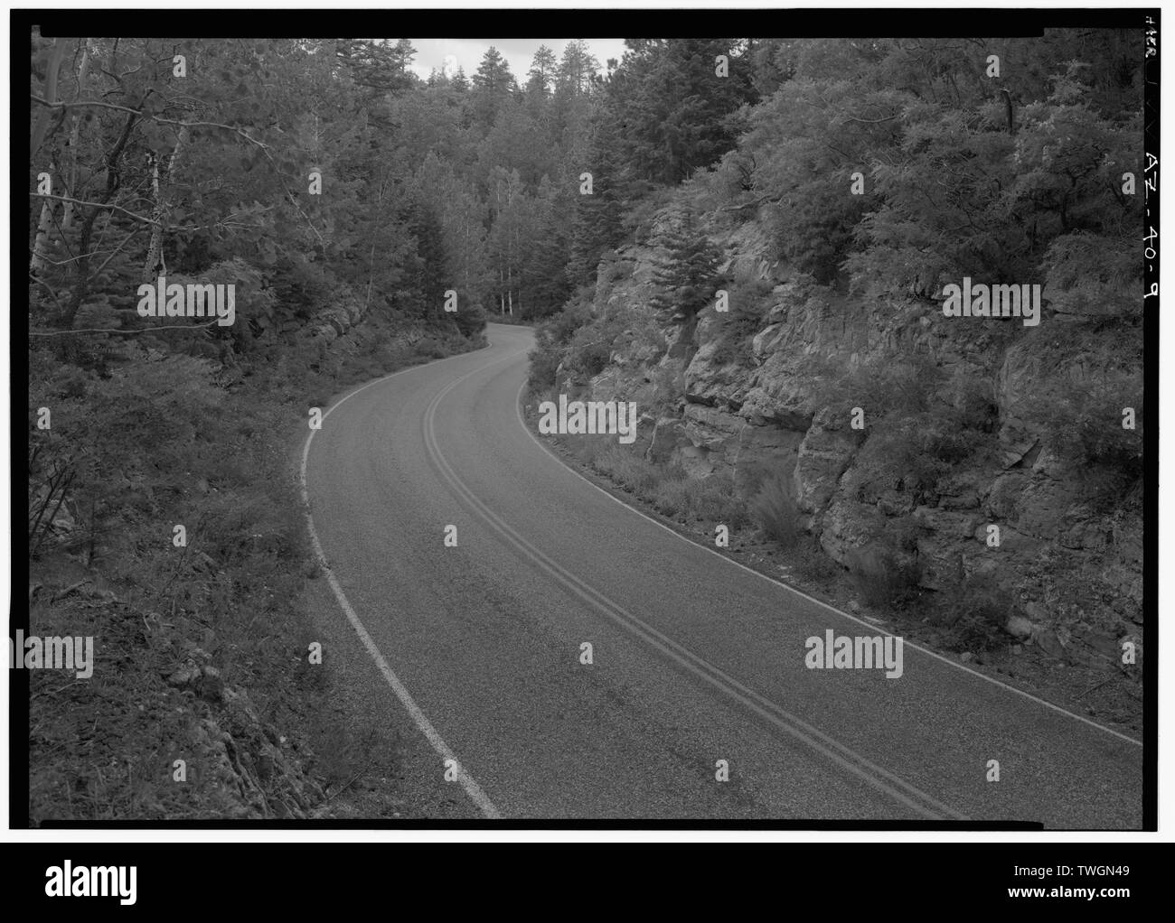 Coupe de route au mile 2 APRÈS INTERSECTION DE CAPE ROYAL ET IMPERIAL POINT, FACE À DES ROUTES W. - Cape Royal Road, entre l'entrée nord et Cape Royal Road, Grand Canyon, AZ, Coconino Comté Banque D'Images