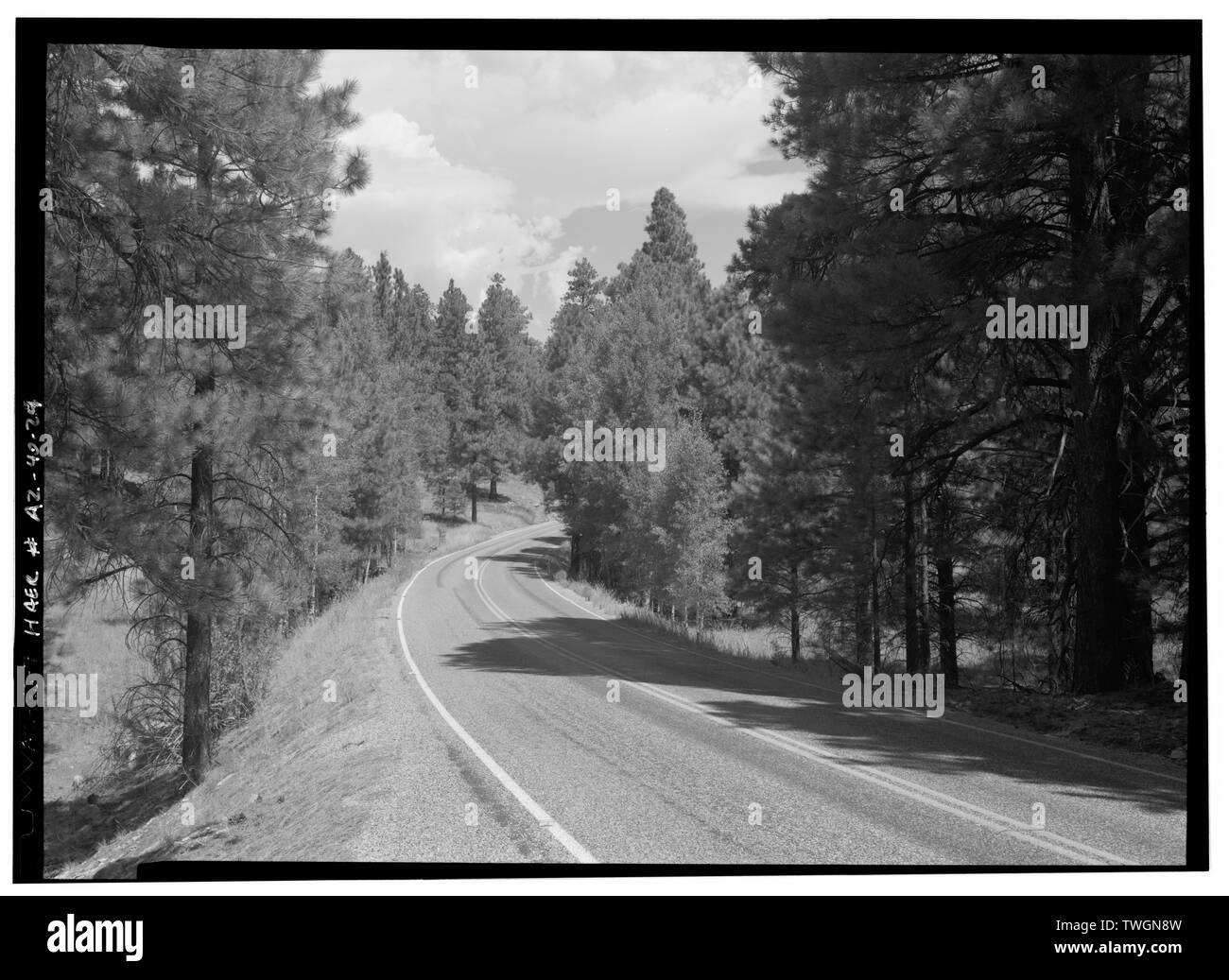 Vue de la route au point milliaire 12,2 FACE À LA NE. - Cape Royal Road, entre l'entrée nord et Cape Royal Road, Grand Canyon, AZ, Coconino Comté Banque D'Images