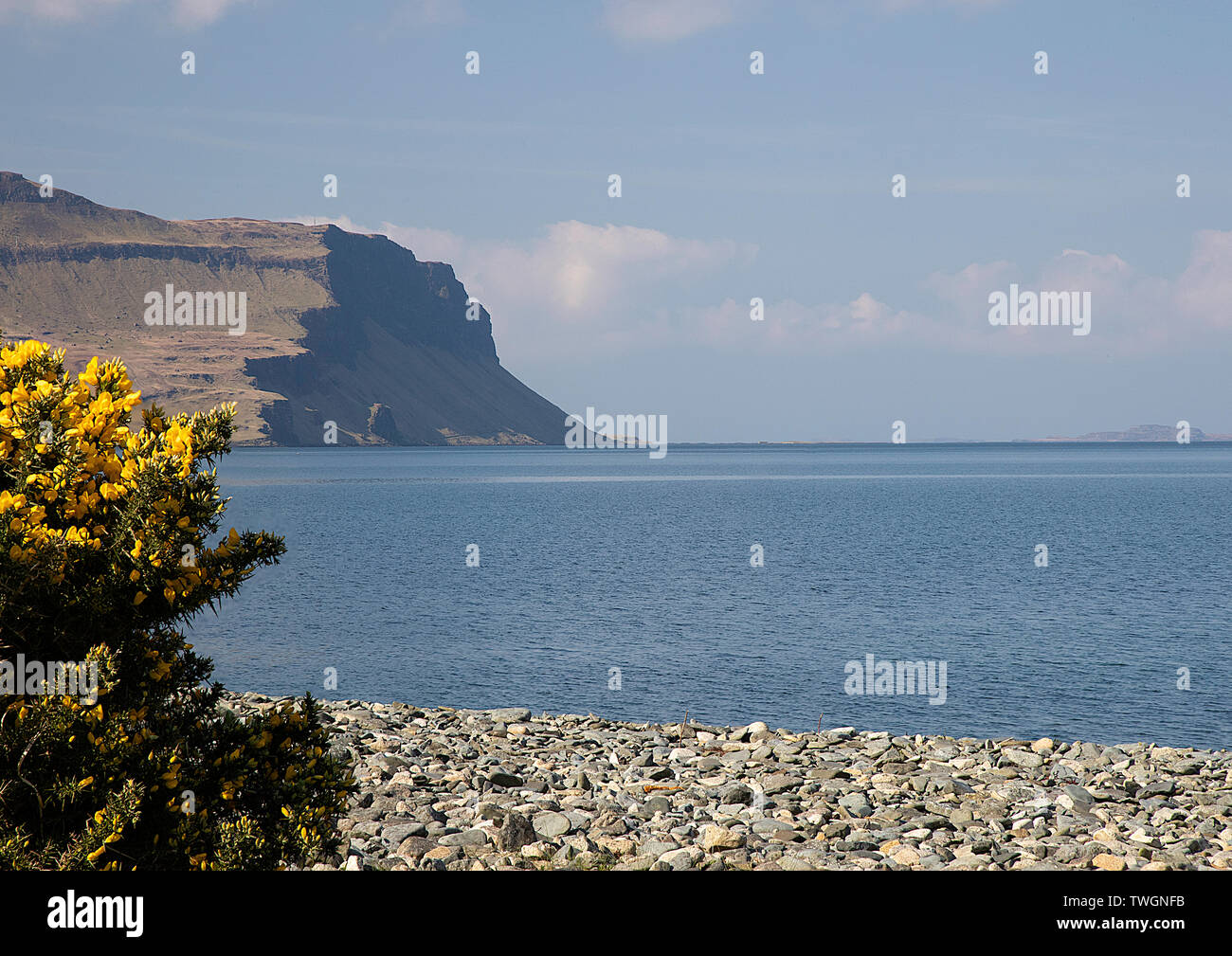 L'ajonc d'arbustes en premier plan, à à l'ouest sur le Loch Na Keal Banque D'Images