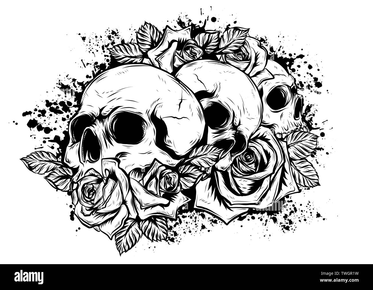Un des crânes humains avec des roses sur fond blanc Illustration de Vecteur