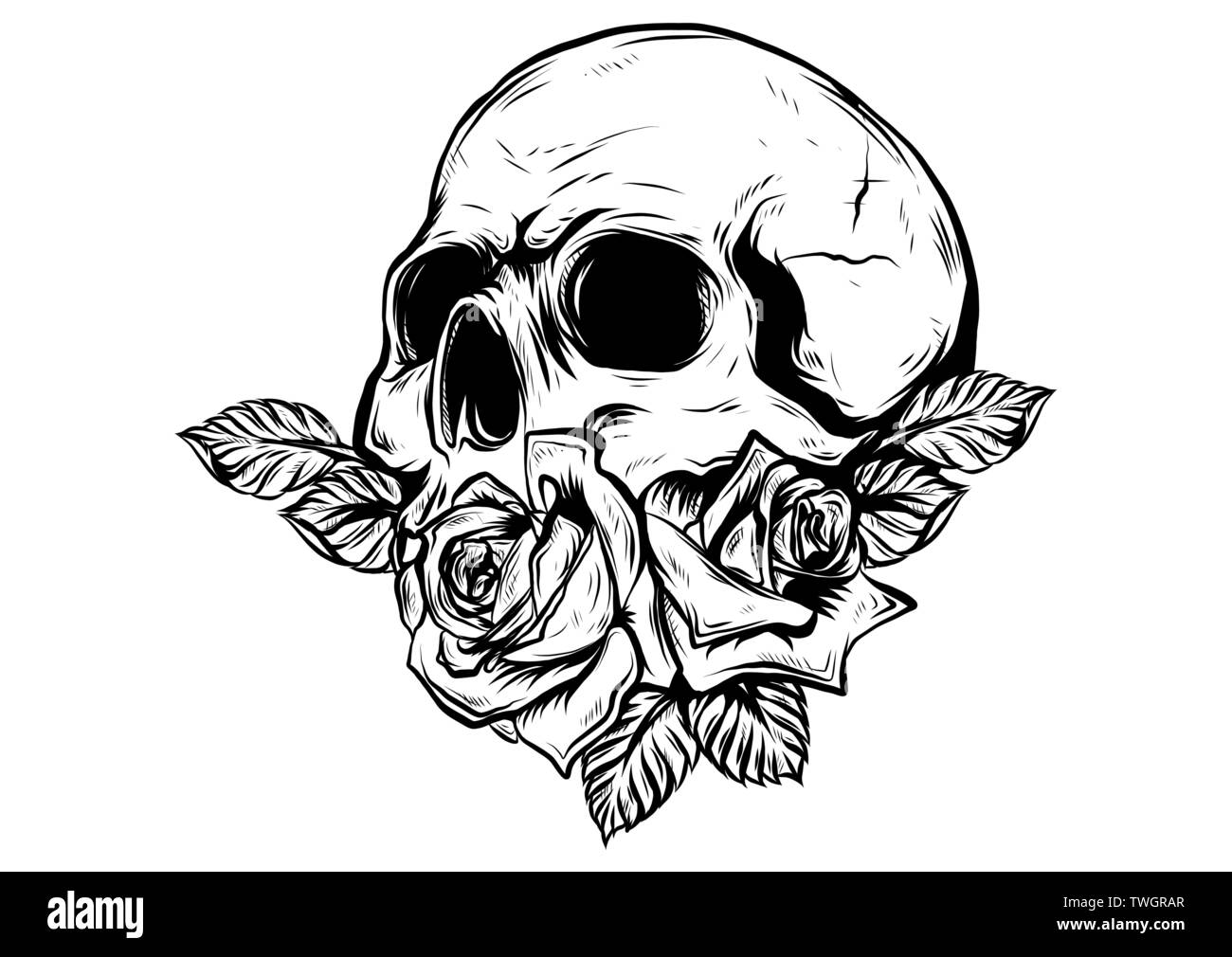 Un des crânes humains avec des roses sur fond blanc Illustration de Vecteur