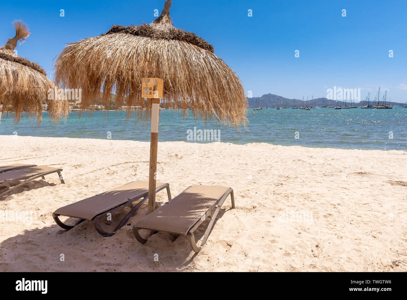 Des parasols de paille avec des chaises longues sur la plage de sable dans la belle ville de Port de Pollença (Puerto Pollença). Mallorca. Espagne Banque D'Images