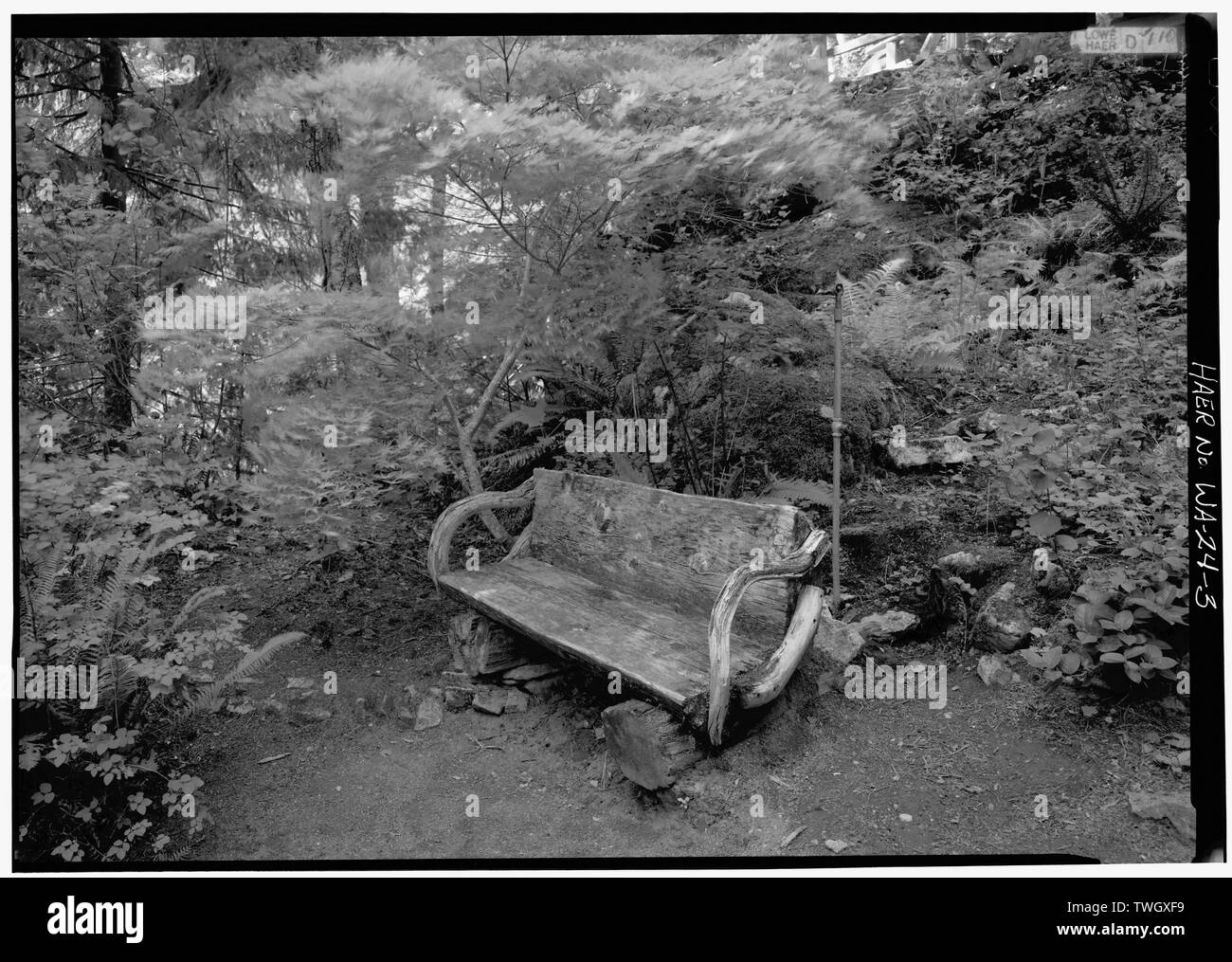 Banc Rustique À L'ÉCHELLE CREEK GARDENS PRÈS DE GORGE CENTRALE À NEWHALEM. J.D. ROSS AVAIT LES MOTIFS paysagé et planté de fleurs exotiques et de végétation durant les années 1930 COMME UNE ATTRACTION TOURISTIQUE, 1989. - Le développement de l'énergie de la Skagit, Skagit River et Newhalem Creek Hydroelectric Project, sur la rivière Skagit, Newhalem, comté de Whatcom, WA ; Ross, James Delmage ; Jorgensen, Lars ; Uhden, C F Banque D'Images
