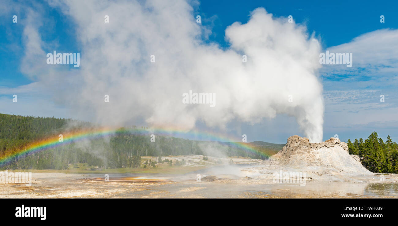 Panorama du château avec geyser éruption et arc dans la partie supérieure du bassin du geyser de parc national de Yellowstone, Wyoming, United States of America, USA. Banque D'Images