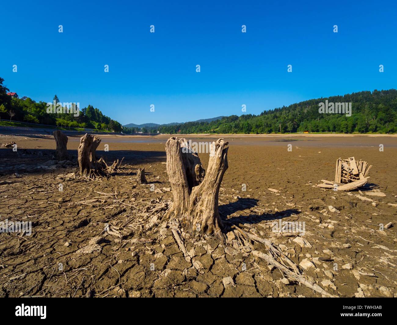 Lit du lac Bajer séché en Croatie Fuzine Printemps 2019 bordée de souches comme aller marcher vers petit lac étang Banque D'Images