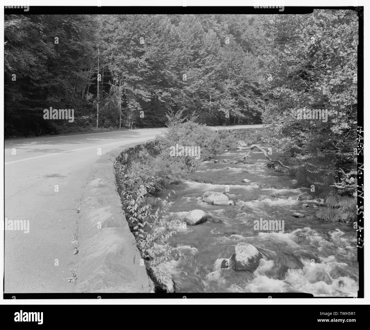 Vue de la route du mur de revêtement sur Newfound Gap Road à NNW. - Great Smoky Mountains National Park Les routes et les ponts, Newfound Gap Road, entre Gatlinburg, TN et Cherokee, NC, Gatlinburg, TN, Sevier comté ; Bureau of Public Roads ; Cammerer, Arno B ; Bass, C N ; Swain, C E ; California Highway Commission ; Peterson, Charles ; Eakin, J Ross ; Morrell, John ; Spelman, H J ; Lee, W I ; Ludgate, Rowell ; Arthur, Jack ; Arundel Corporation ; R B Tyler Company ; C Y Thomason Company ; King, Willis ; Breslin Construction Company, John Rockefeller ; D ; vint, Thomas ; Frederick Law Olmsted, ; Hubbard, Henry ; riz, Henr Banque D'Images