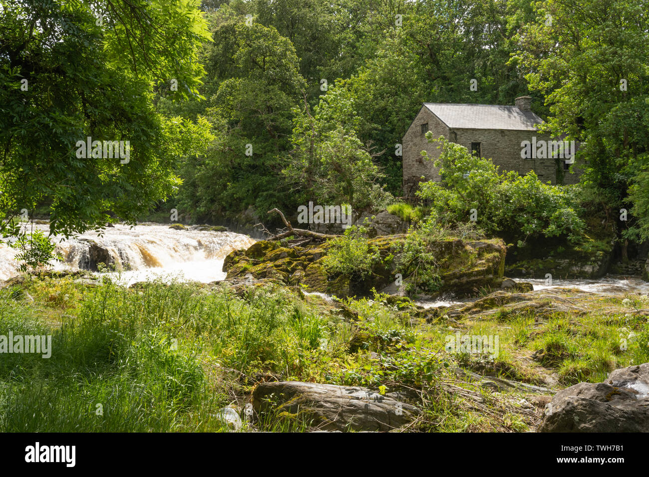 Les chutes (chutes) sur la rivière Teifi au village de Cenarth dans Carmarthenshire, Pays de Galles, Royaume-Uni Banque D'Images
