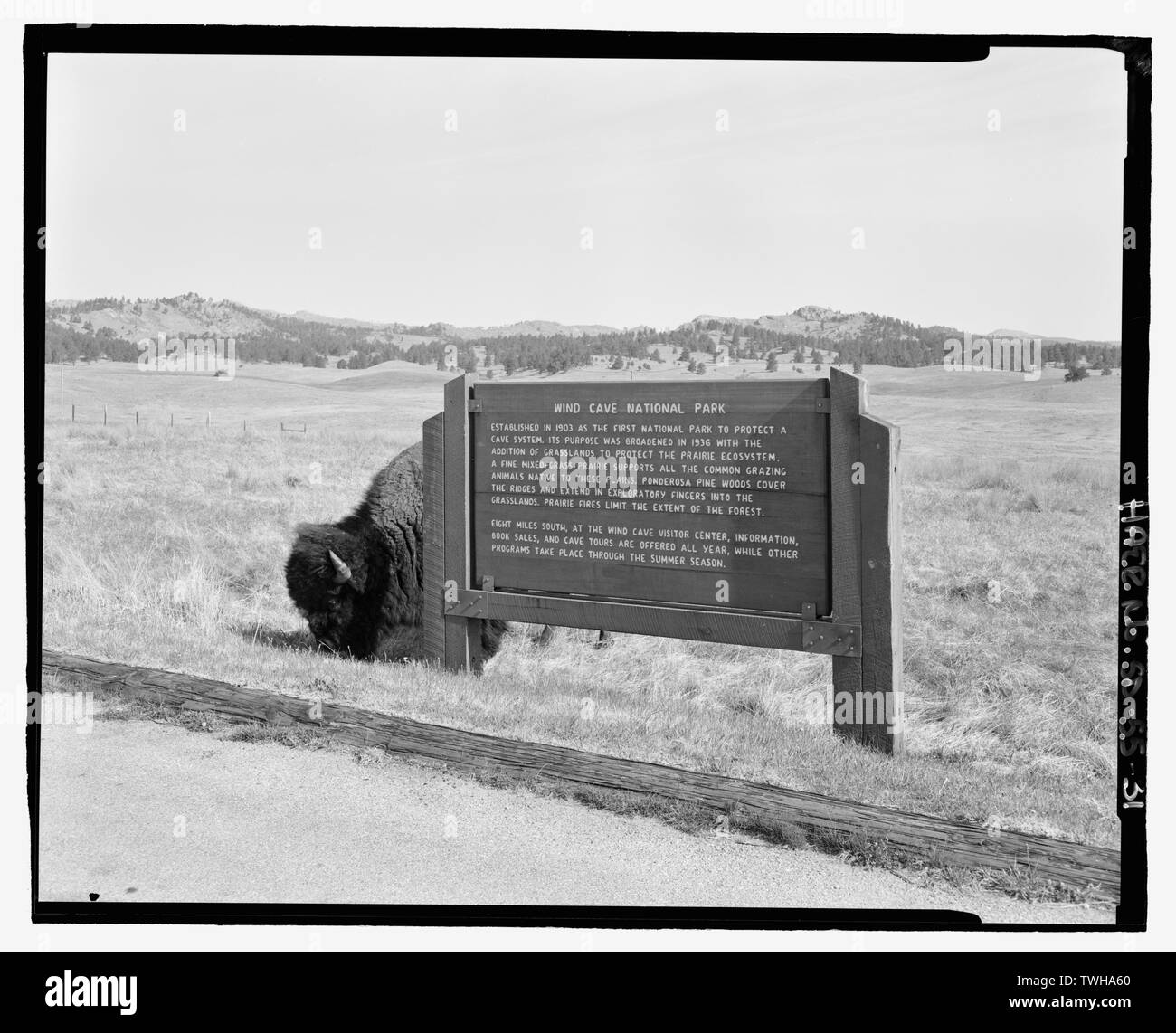 Route 87, Wind Cave signe gigogne en bois avec un frein. Voir SW. - Grotte du Vent Les routes et les ponts, les sources chaudes, Fall River Comté, SD, Dakota du Sud de l'autoroute de l'État Commission ; Civilian Conservation Corps ; Bingham, Jesse ; Bingham, Tom ; McDonald, Jesse ; Stabler, John ; Stabler, Charles ; Moss, John C, Roosevelt, Theodore ; Goodwin, George ; Cammerer, Arno ; Norbeck, Peter ; TJ Tobin ; nord-ouest de l'entreprise de construction Entreprise de construction ; Flyte, William ; John W Strahan Construction Company, société d'ingénierie Brady ; Gray, Charles, gérant de projet, l'équipe de terrain Magdalenos, Christine, architecte-paysagiste ; Marston Banque D'Images